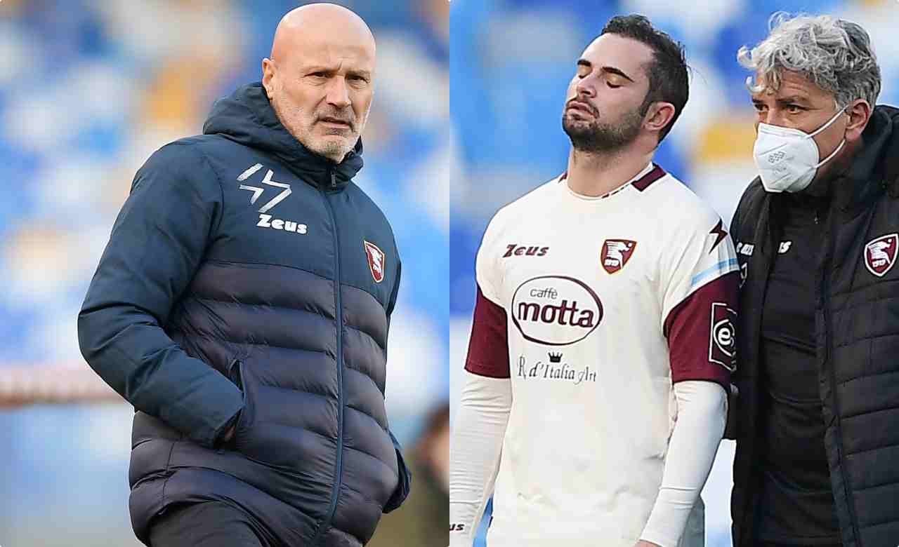 Stefano Colantuono Salernitana