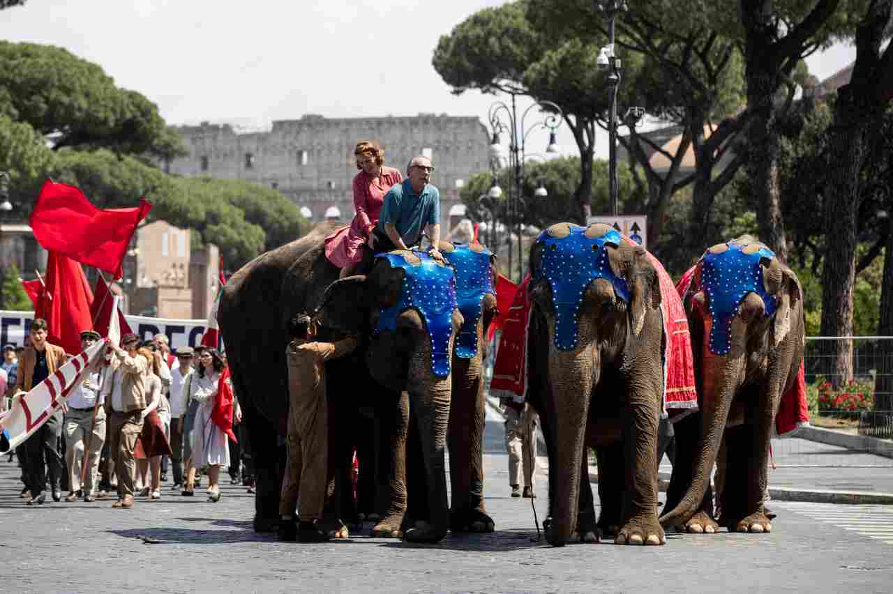 elefanti cinghiali roma