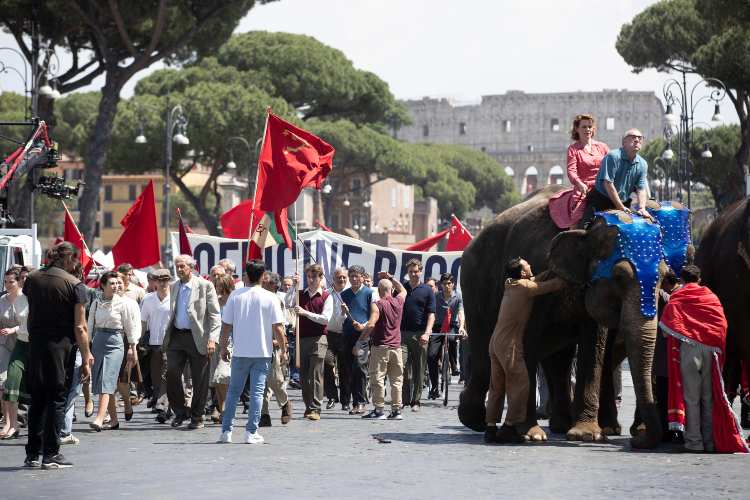 elefanti a roma