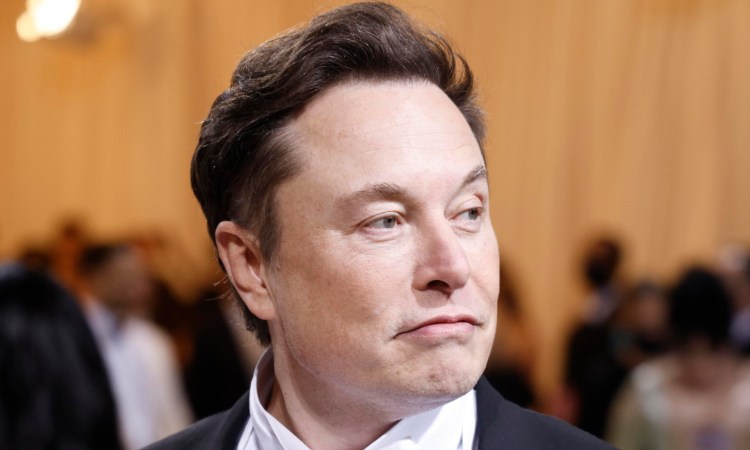 musk 