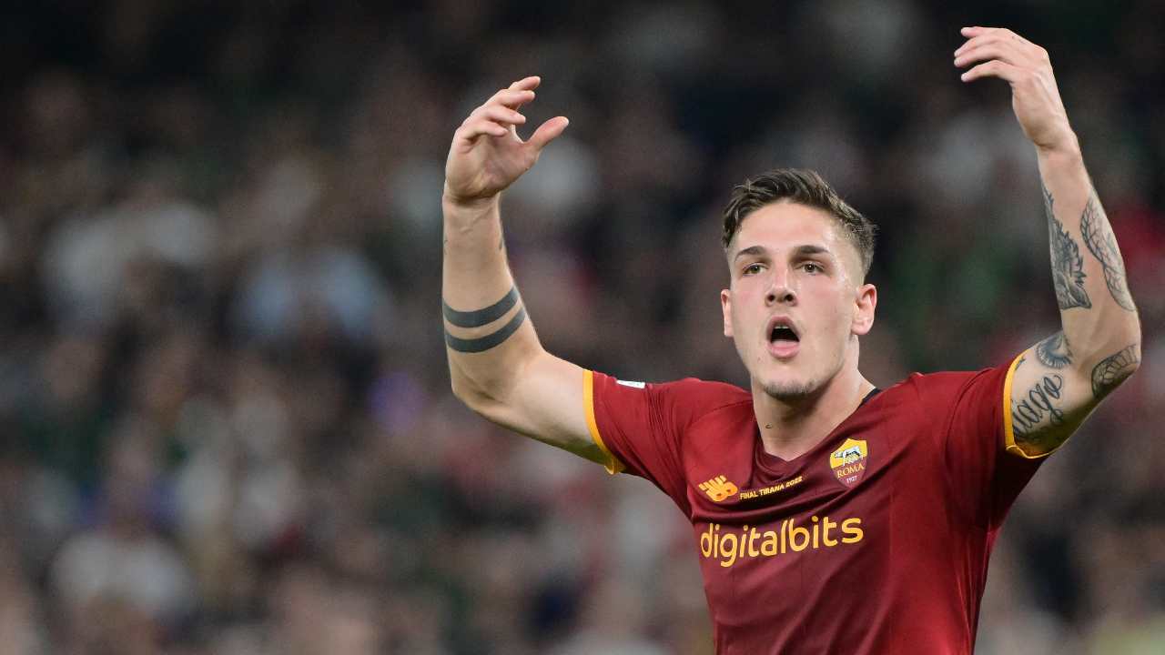 zaniolo flirt