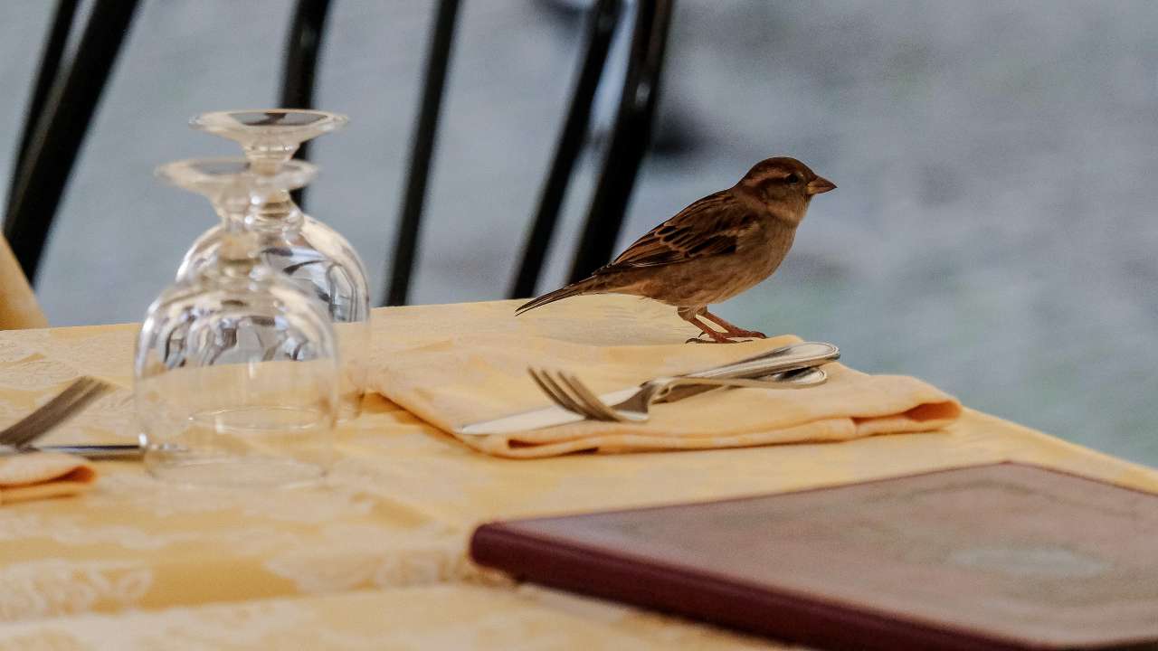 Tavolo posizionato in un cantiere