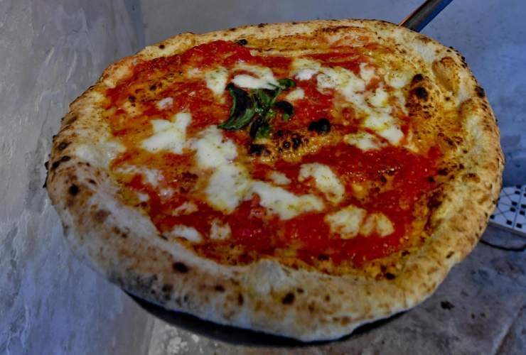 Pizza margherita