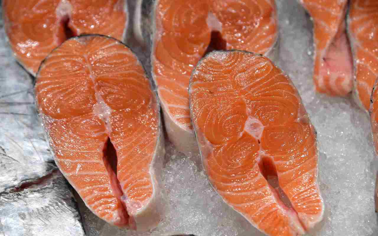 Salmone