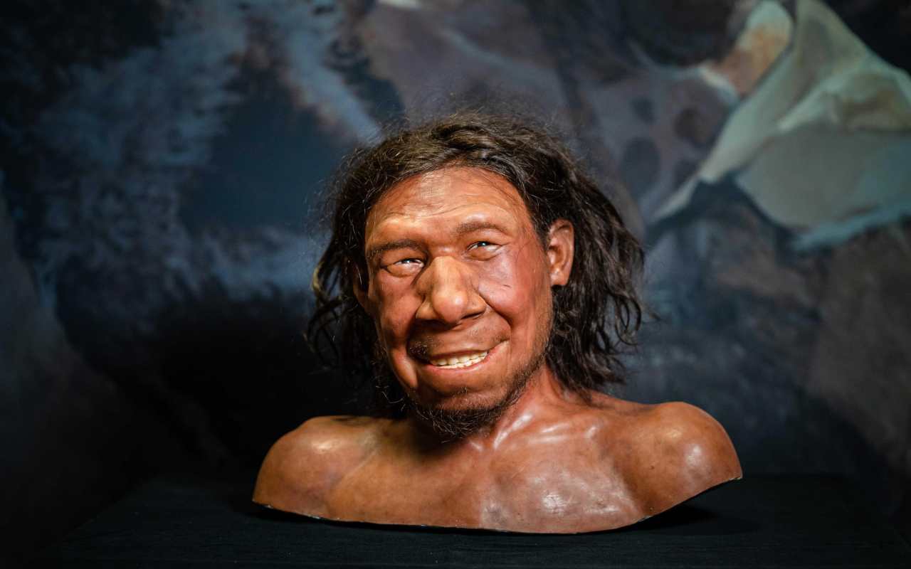 Neanderthal