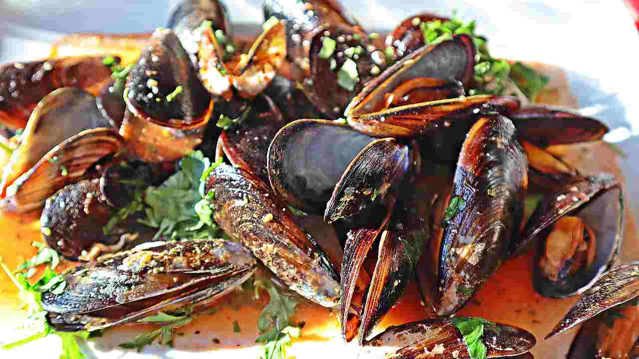 Pasta alle cozze