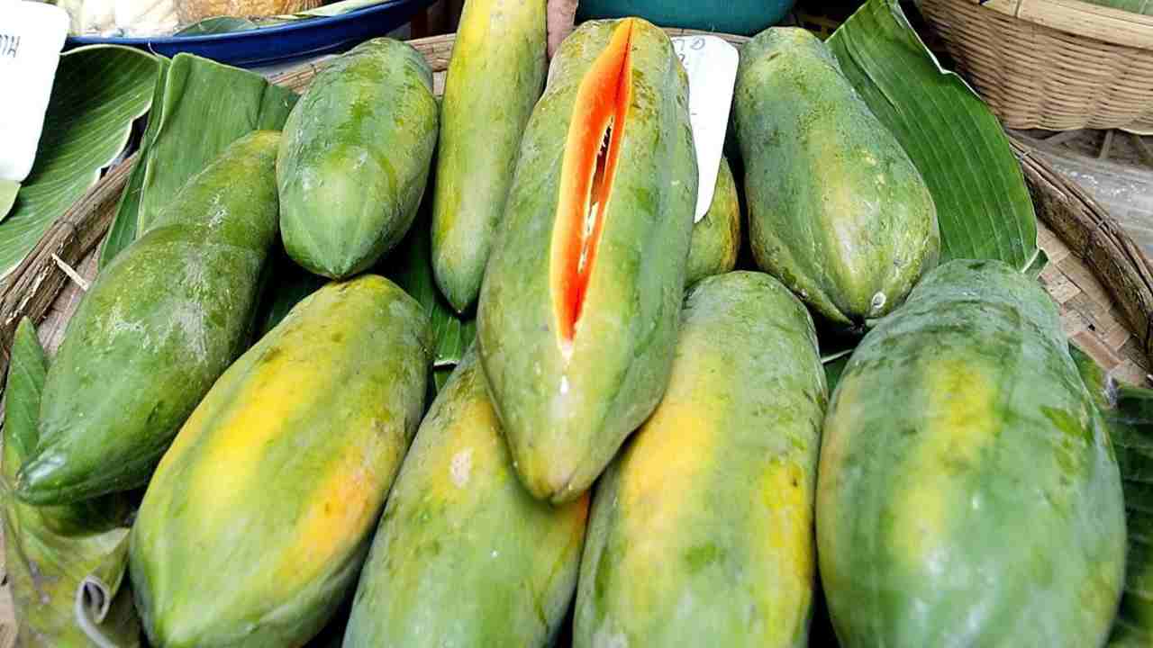 Tutto quello che non sapevi sulla Papaya 