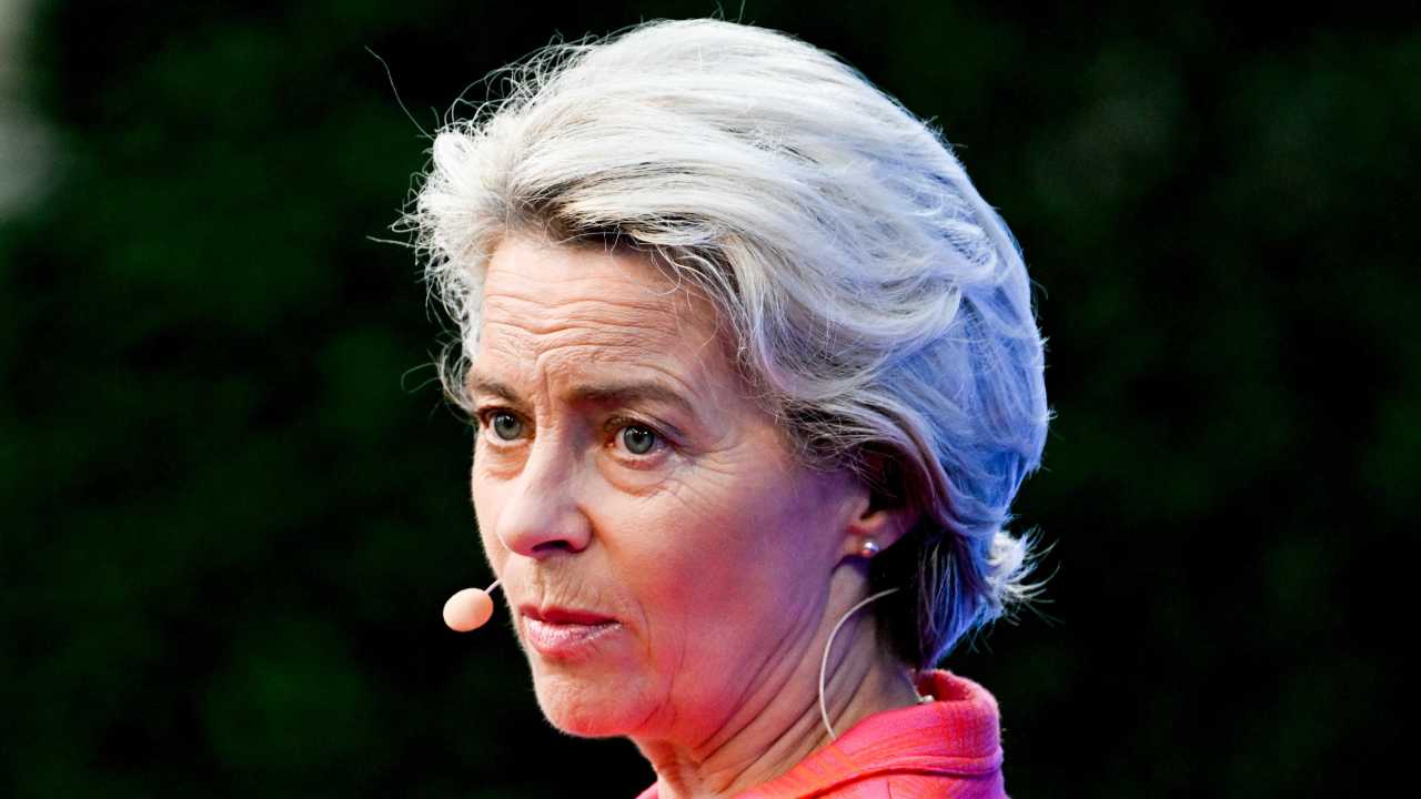 Il piano della von der Leyen