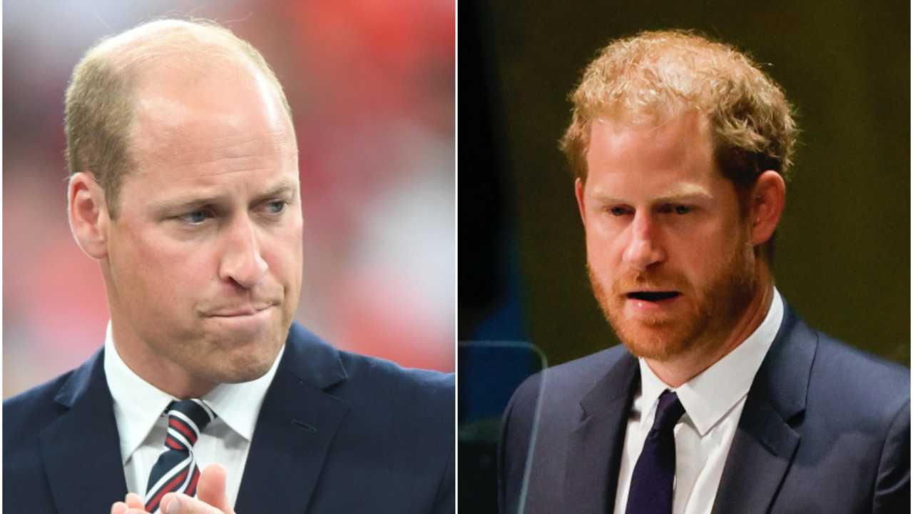 Lite William e Harry