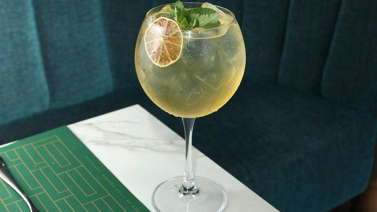 Aereo atterraggio d'emergenza causa gin tonic