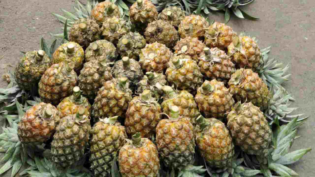 Falsi miti sull'ananas e non solo