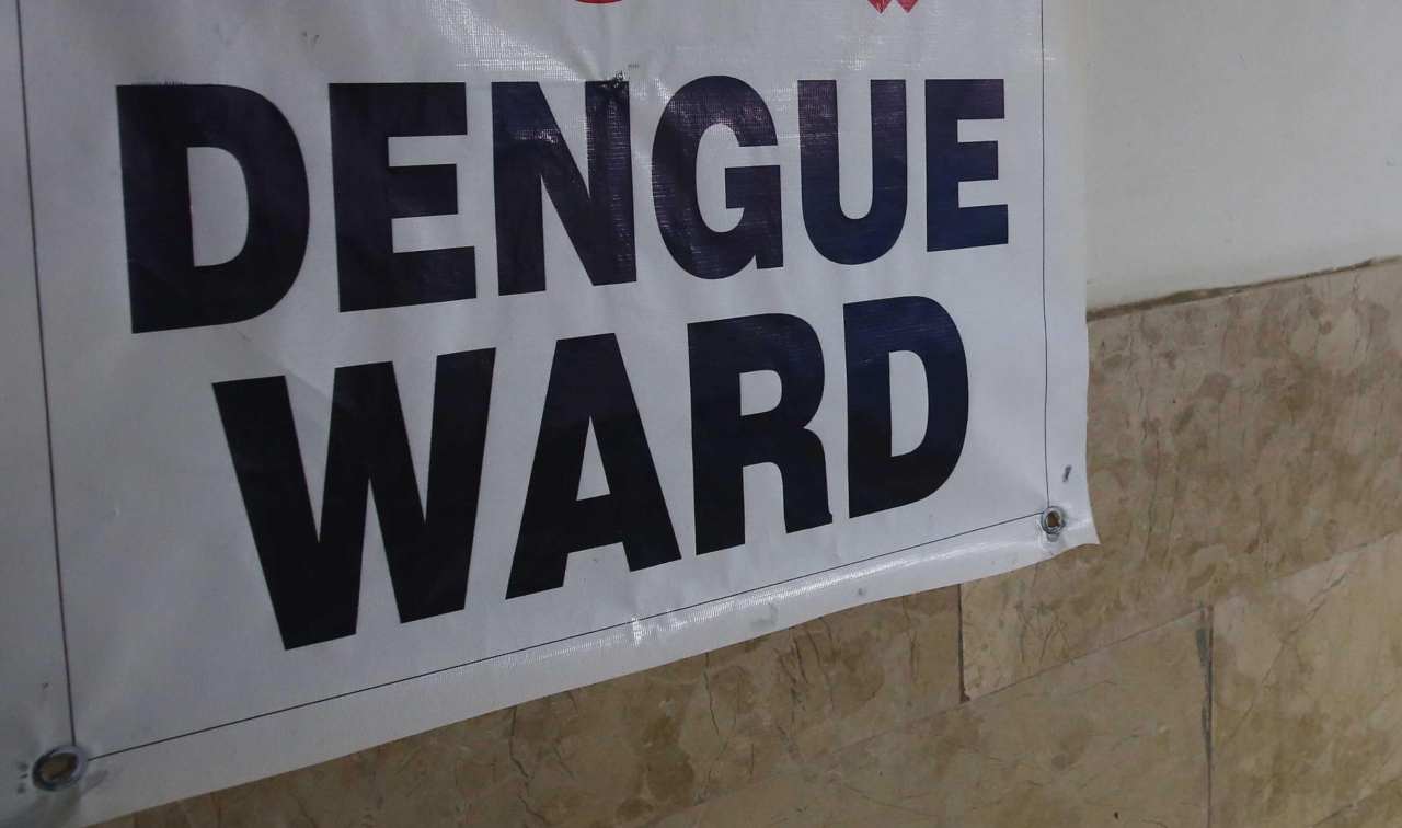 Dengue Italia