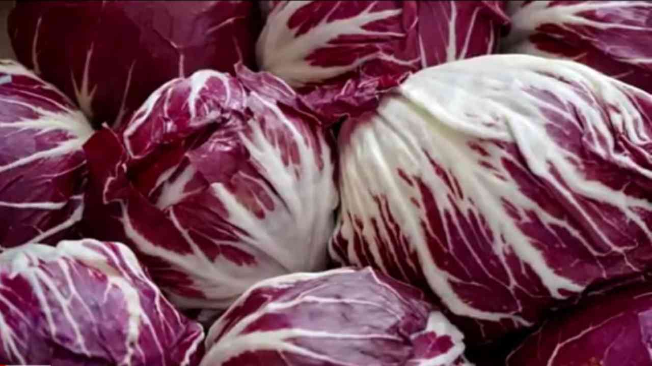 Tutte le proprietà benefiche del radicchio e non solo