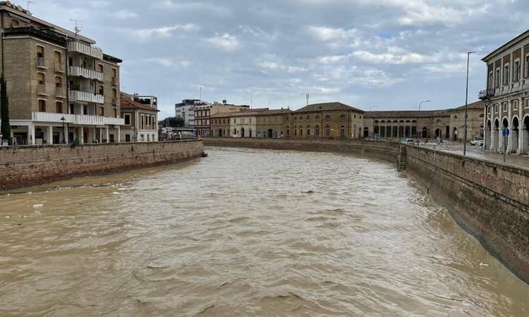 alluvione marche 