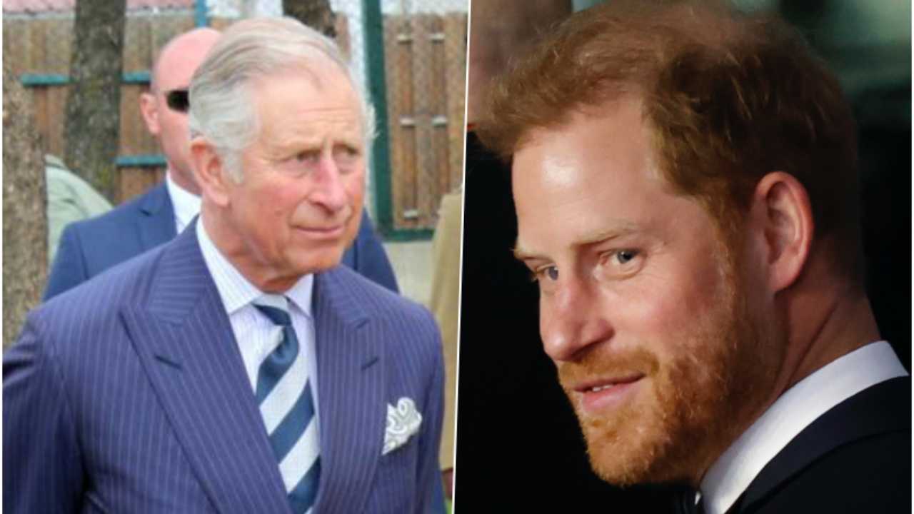 Meghan svela il rapporto tra il Principe Carlo ed Harry