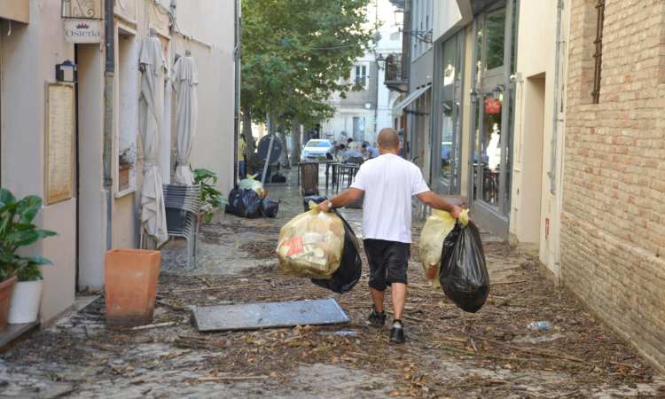 alluvione marche