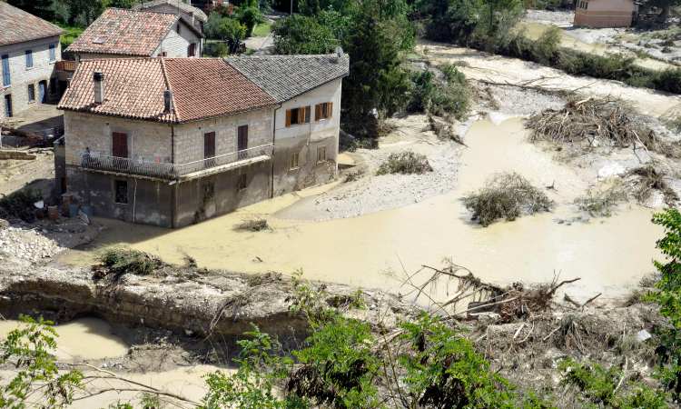 alluvione marche