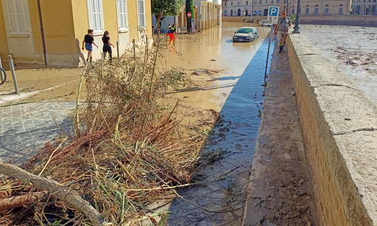 senigallia