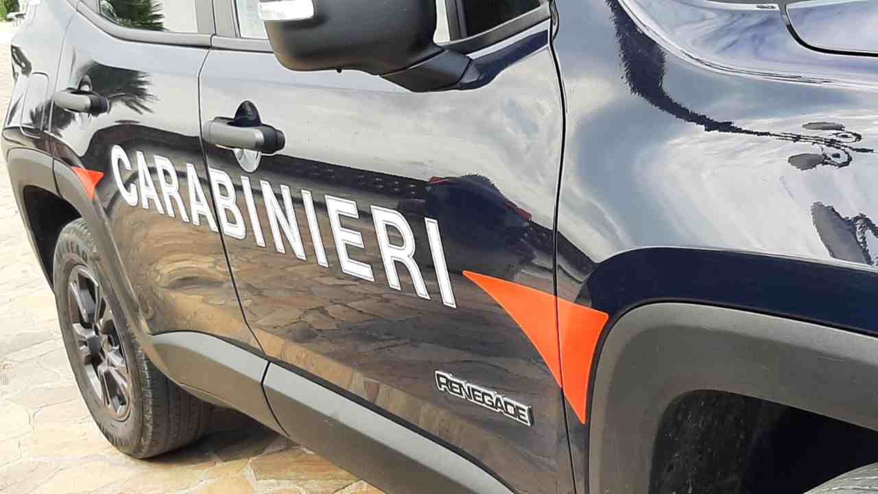 Carabinieri trovato più di 600 furbetti del 'Rweddito'