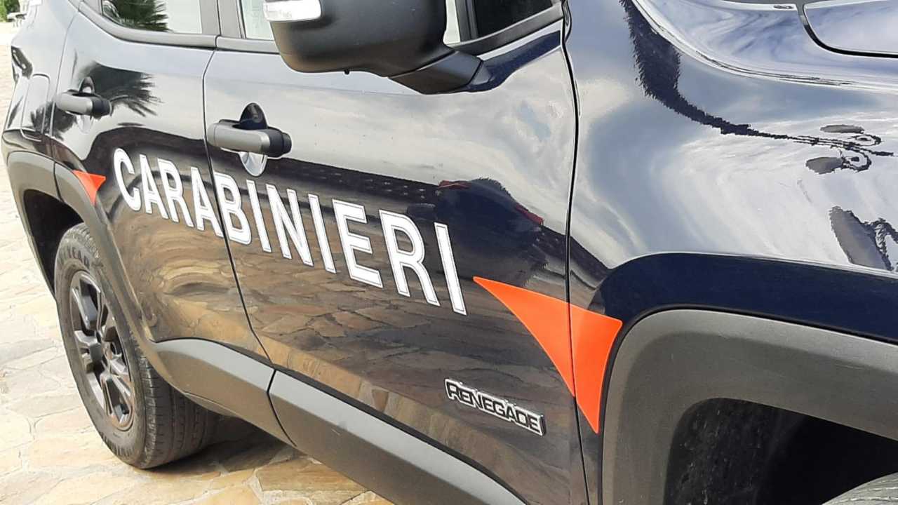 Carabinieri (Ansafoto)