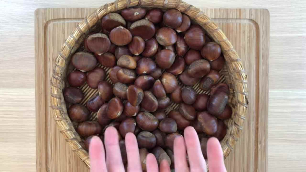 Scopriamo meglio i valori delle castagne