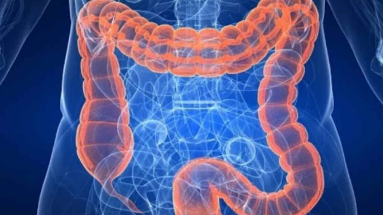 Intestino, stanchezza e non solo: quello che non sai