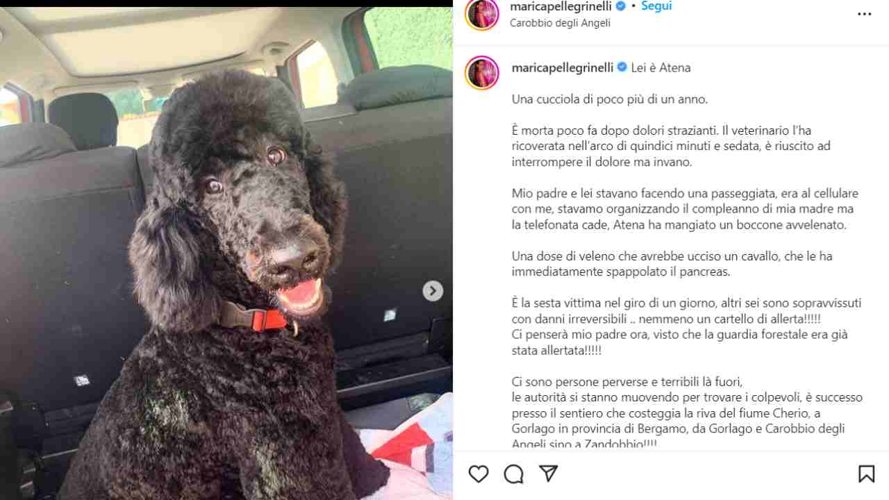 Il duro post su Instagram della Pellegrinelli 