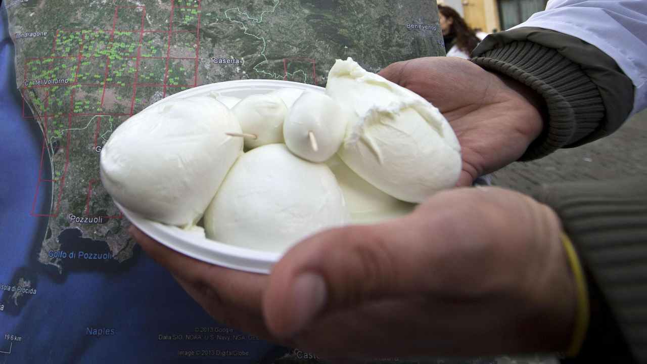 Mozzarella, quello che non sapevi