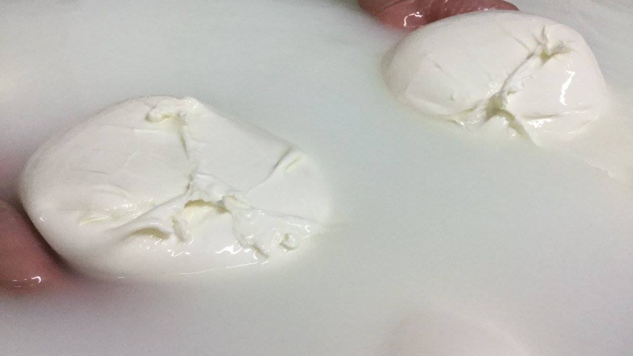 Mozzarella, quello che non sapevi