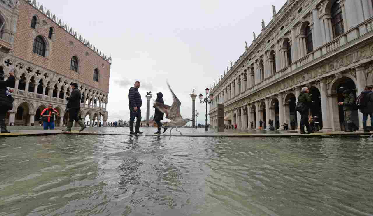 Acqua a Venezia 