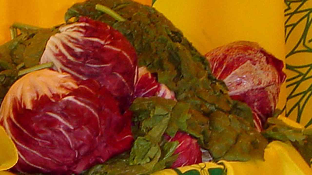 Tutto quello che non sapevi sul radicchio