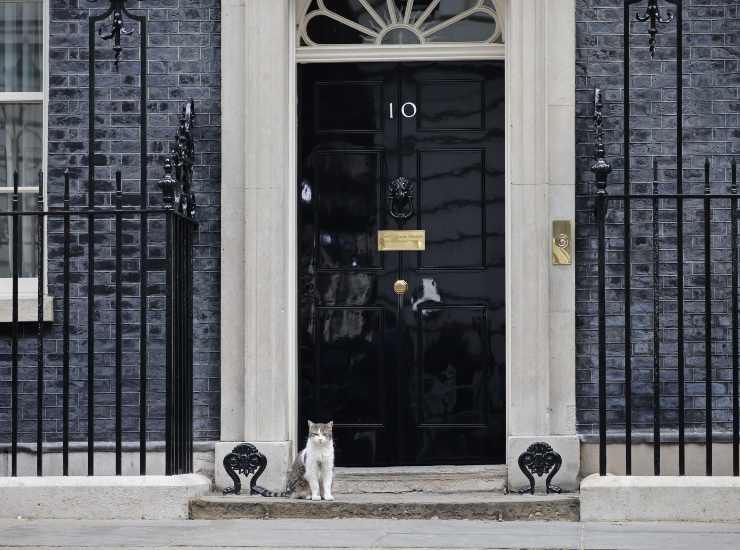 Downing Street