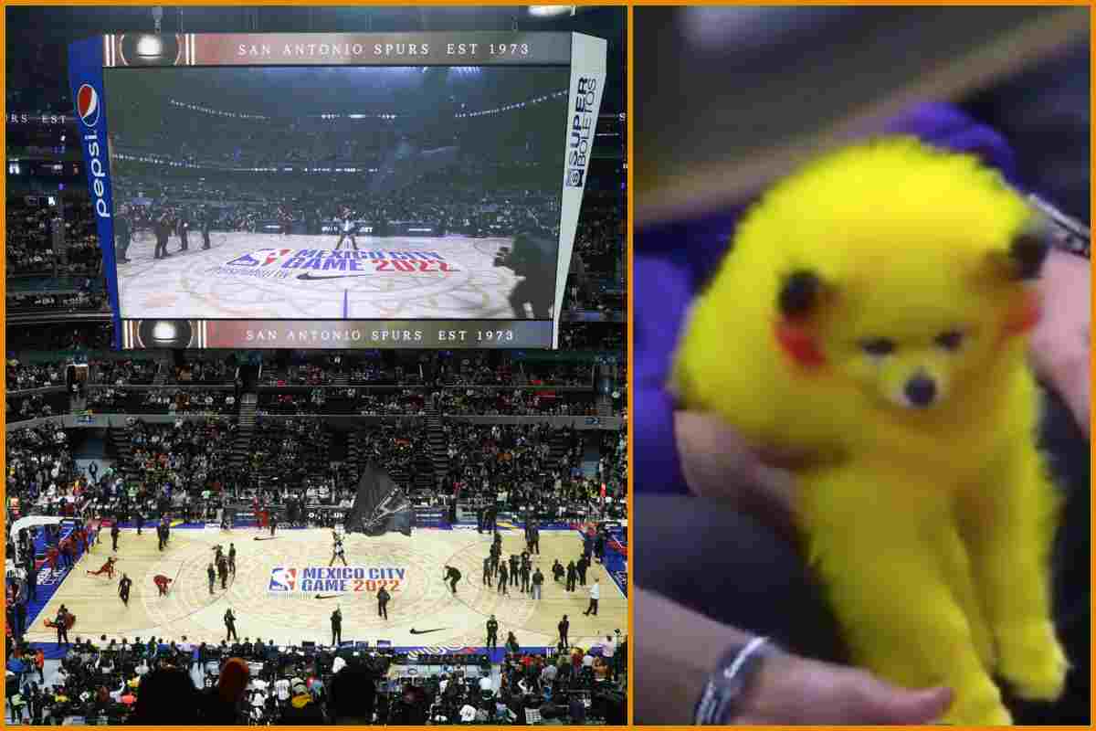 NBA cane Pikachu