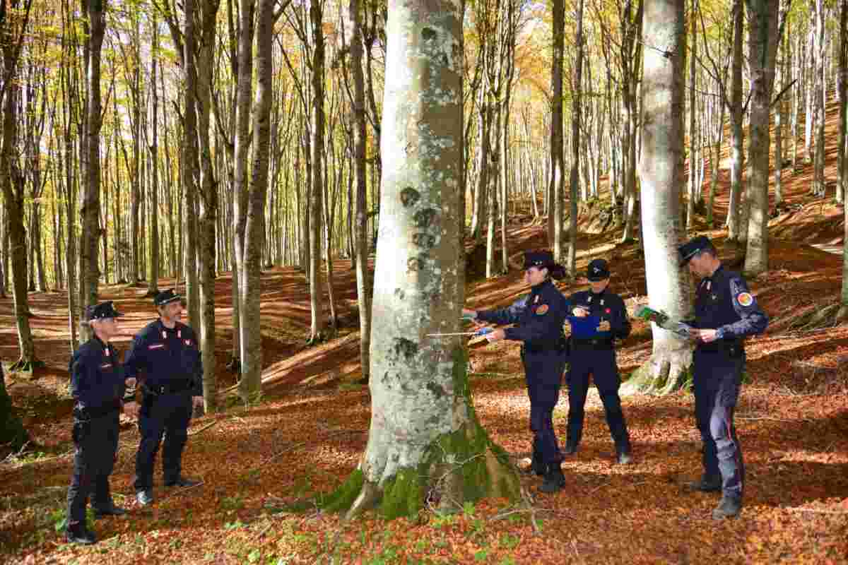 E' successo in Trentino