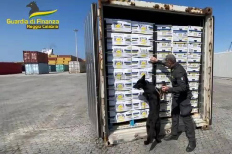 Sequestro record di cocaina nel porto di Gioia Tauro