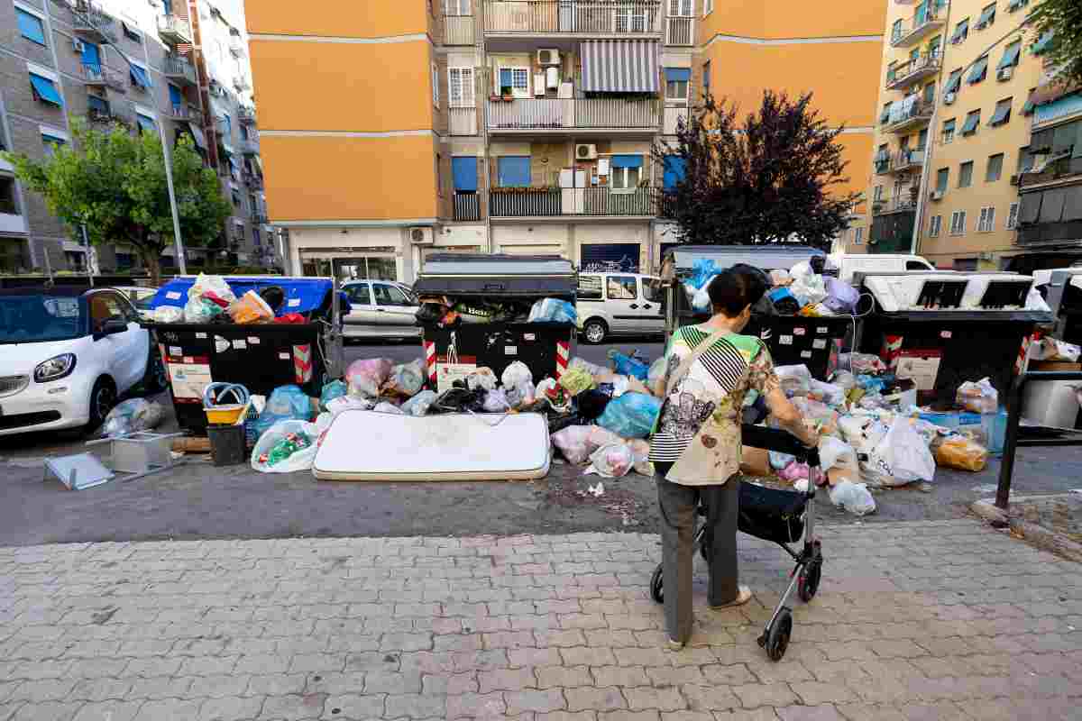 Tigre peluche a Roma sui bidoni dei rifiuti