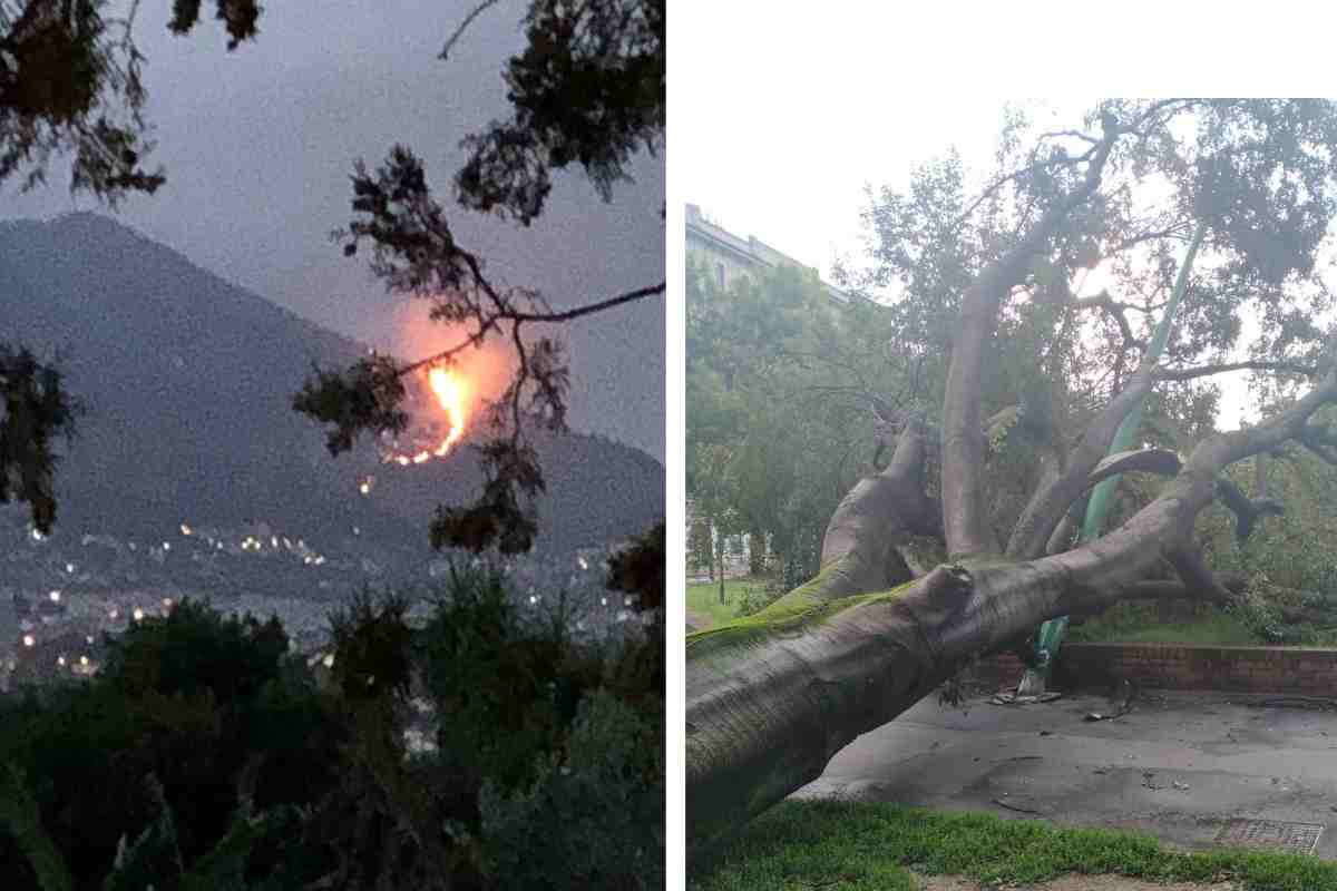 Incendi e maltempo