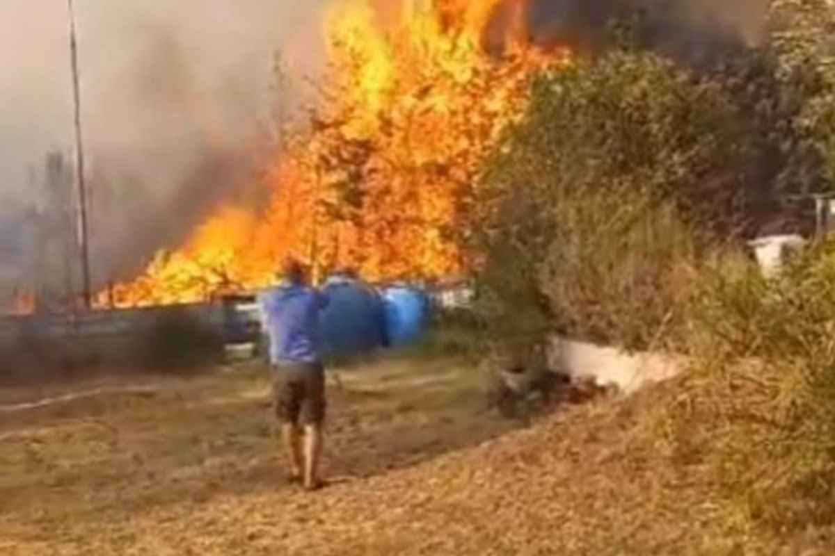 Provvedimento contro i piromani, Nordio: "Non sono a disagio con l'inasprimento"