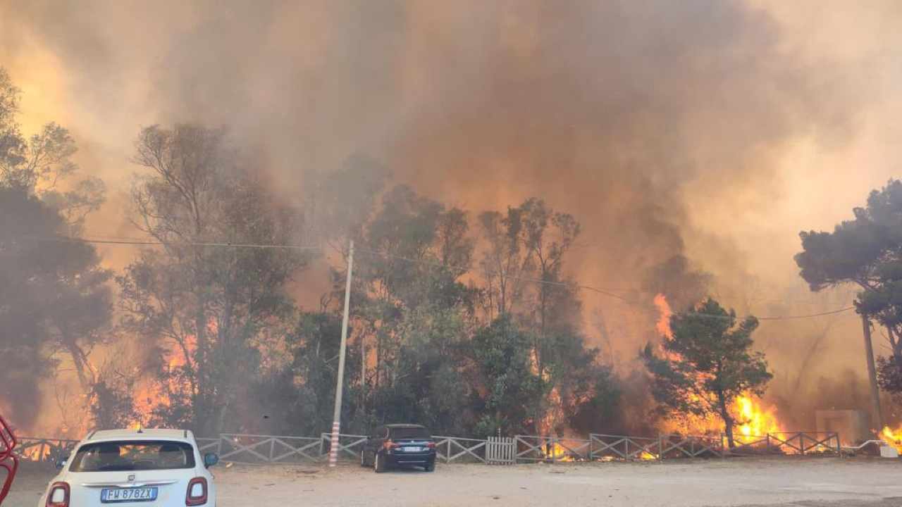 Incendi e piromani, l'analisi della psicoanalista a Notizie.com