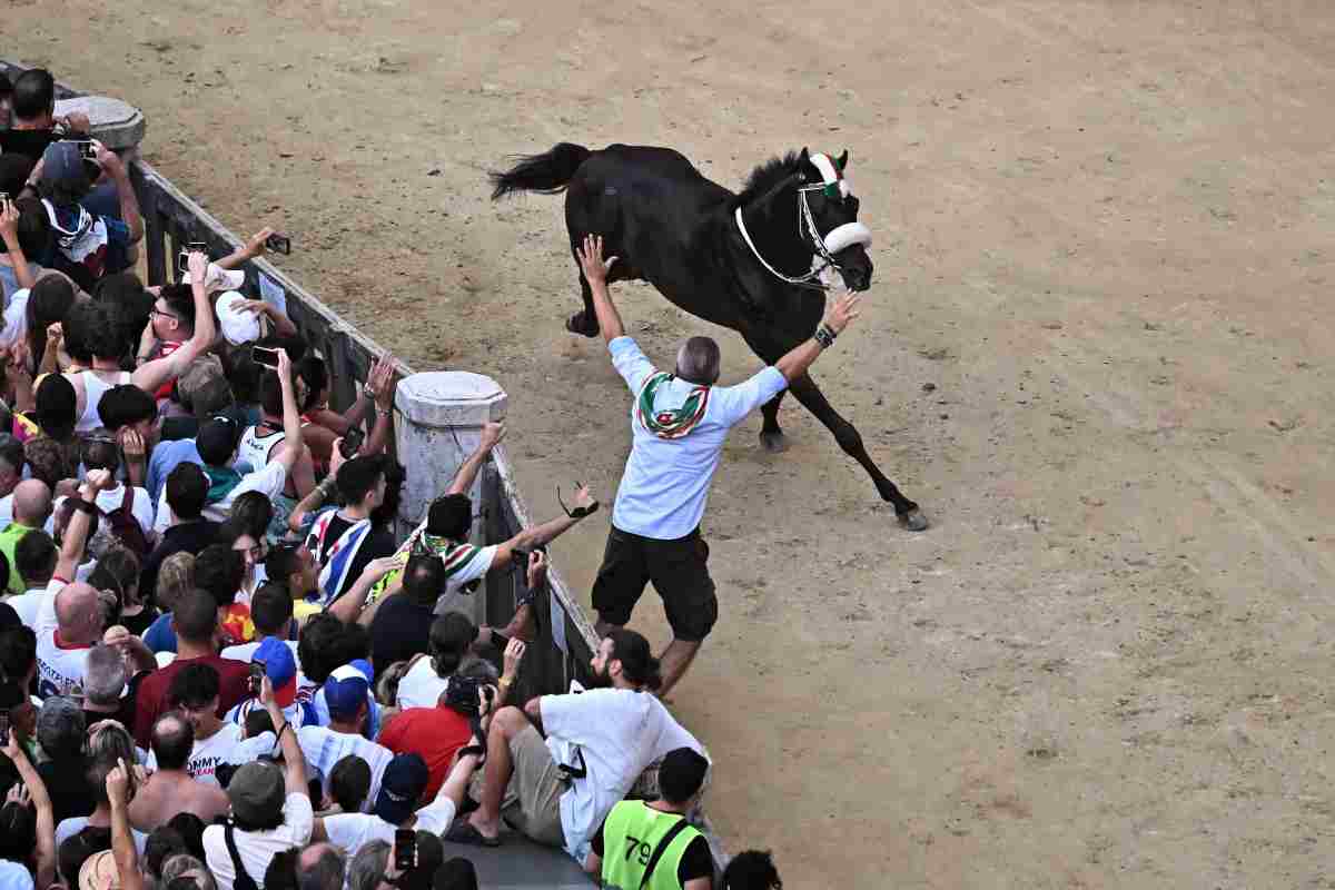 Palio di Siena resoconto