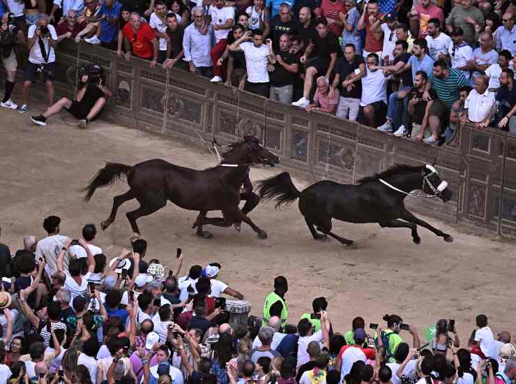 Palio di Siena resoconto