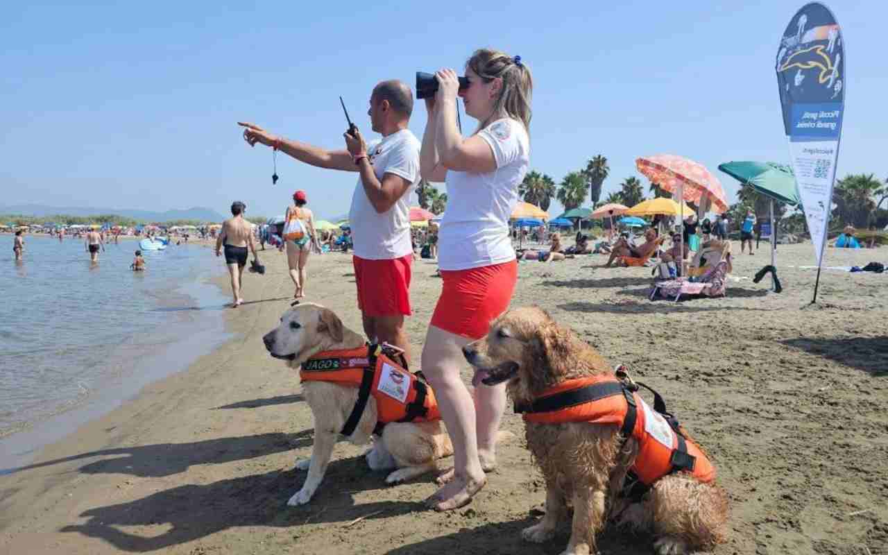 Sics, cani da salvataggio. 10 persone sottratte alle onde questa estate