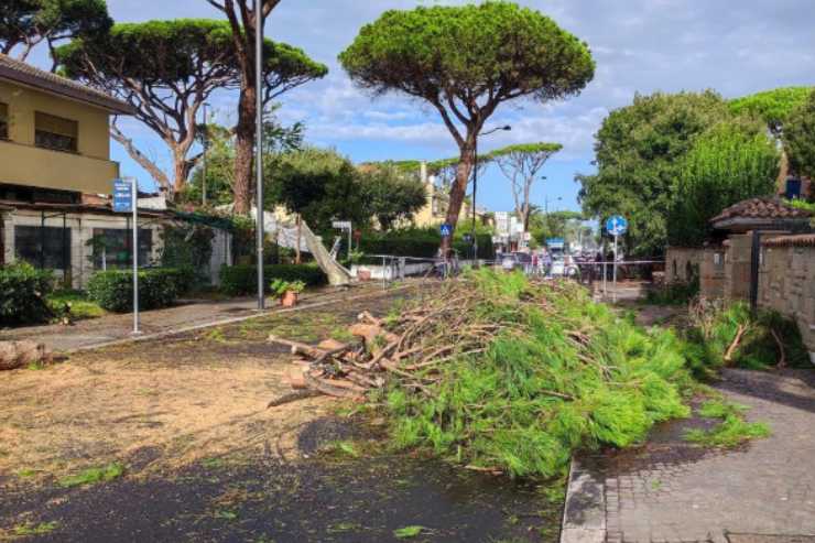 E' accaduto a Montecatini Terme