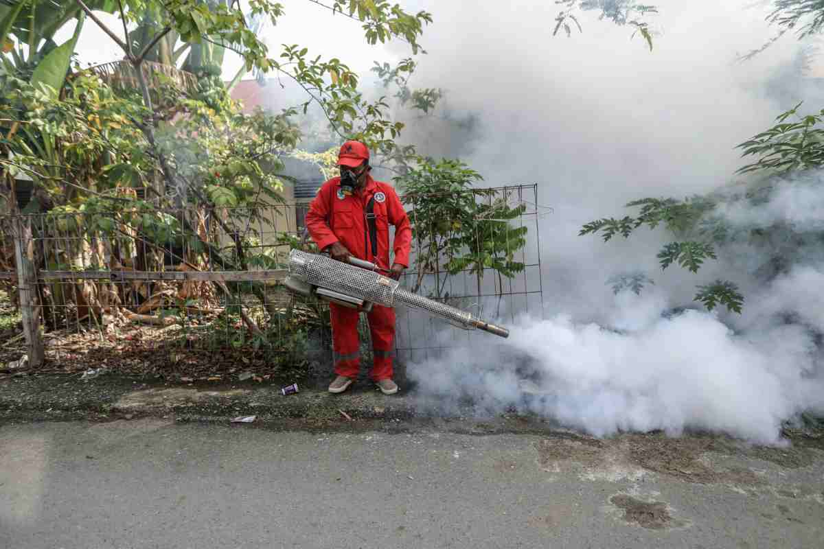 Disinfestazione Brasile