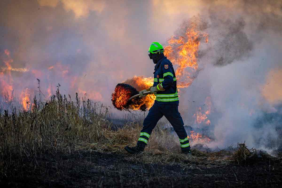 L'evento e gli sviluppi