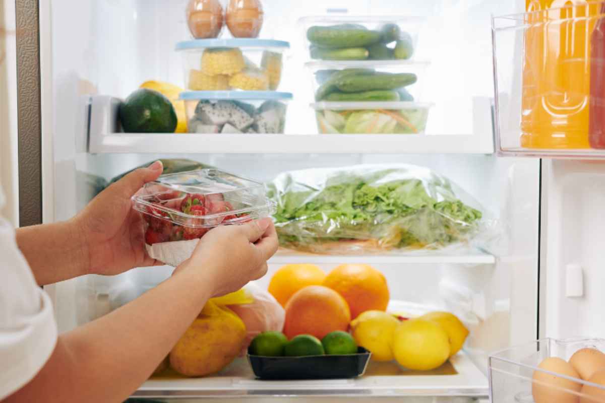 Hai sempre sbagliato a conservare gli alimenti in frigo