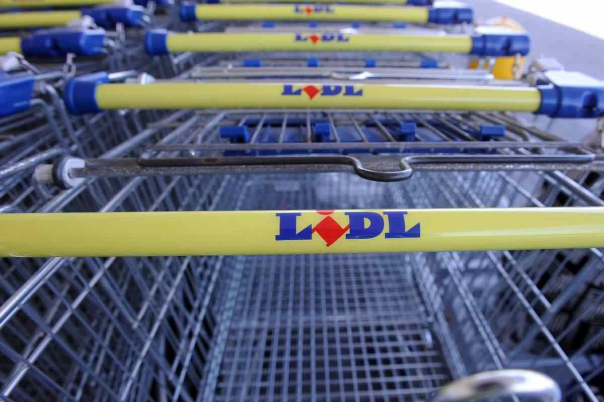 lidl pil posti lavoro