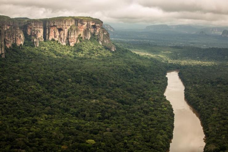 Elon Musk l'ha combinata grossa fa un disastro in Amazzonia