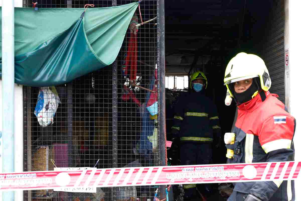 Incendio nel mercato centrale, è una strage: migliaia di animali bruciati vivi