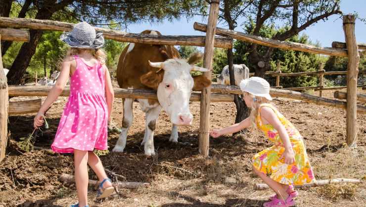 alternative alle colonie estive per i bambini 